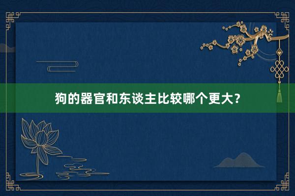 狗的器官和东谈主比较哪个更大?